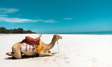 5 Nights Nairobi and Mombasa Tour